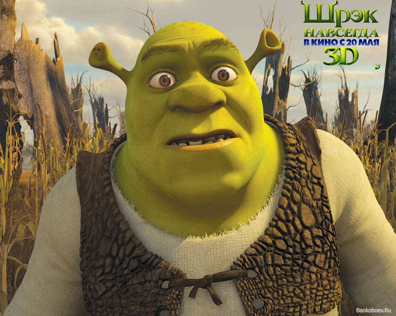 Startled Face Of Shrek Pc Wallpaper