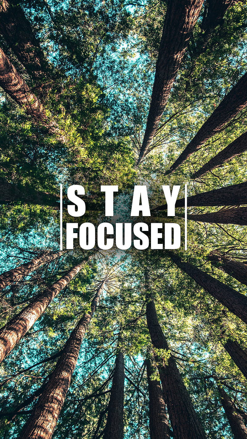 Stay Focused Motivational Mobile Wallpaper
