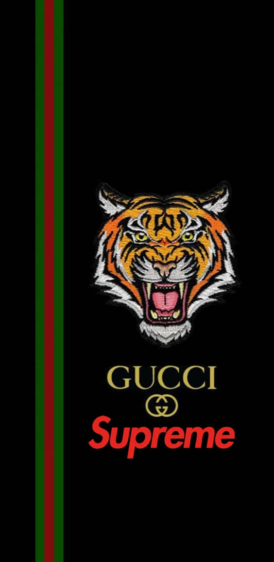 Style With Supreme Gucci Wallpaper