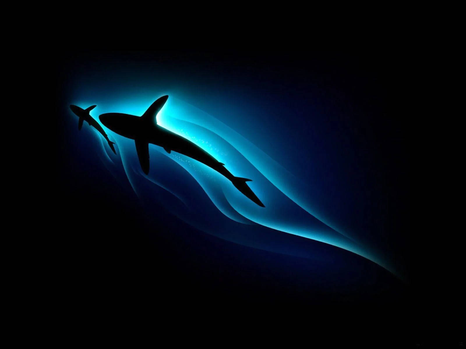 Stylish Sharks Silhouettes Wallpaper