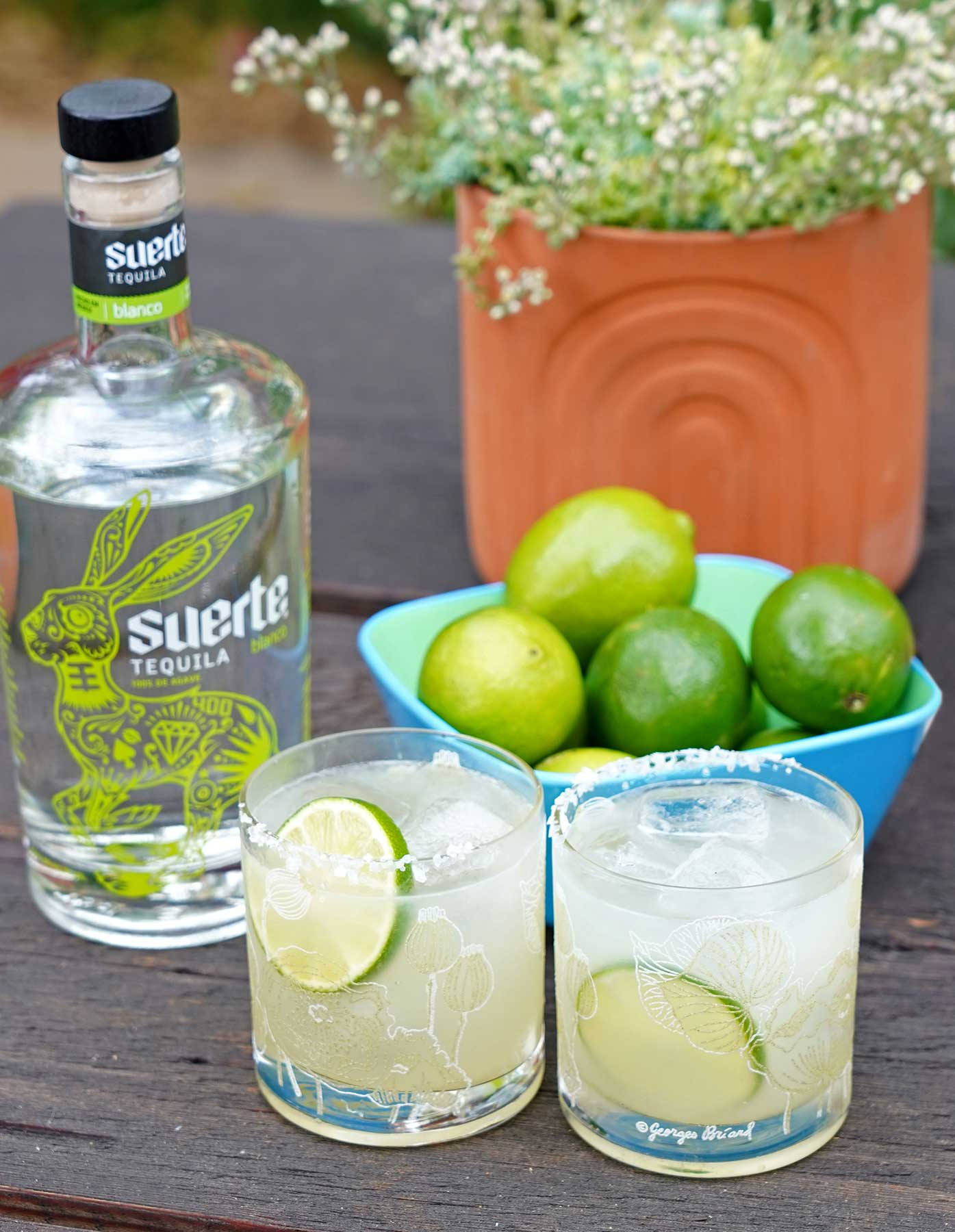 Suerte Tequila Mojito Cocktails Wallpaper