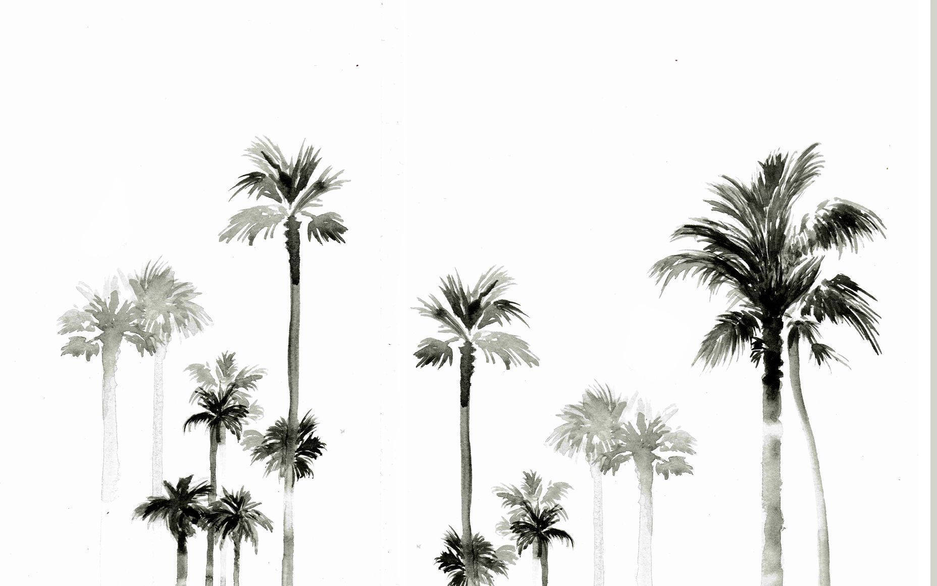 Summer Minimalist Palm Tree Laptop Wallpaper