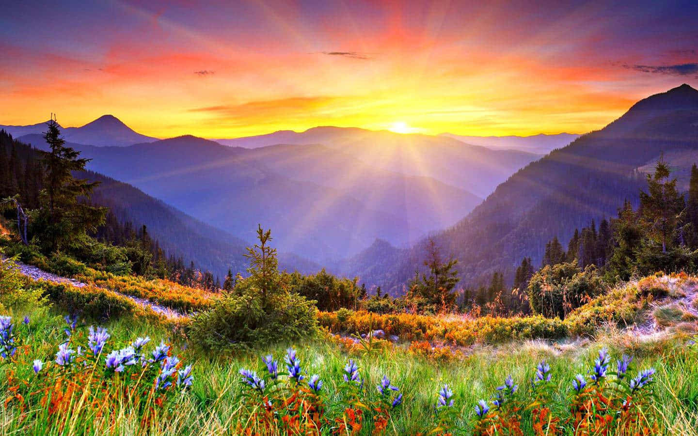 Sun Rise Above The Mountain Wallpaper