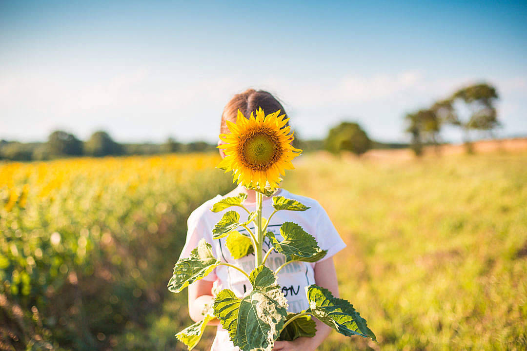 Sunflower Aesthetic Girl In The Farm Wallpaper