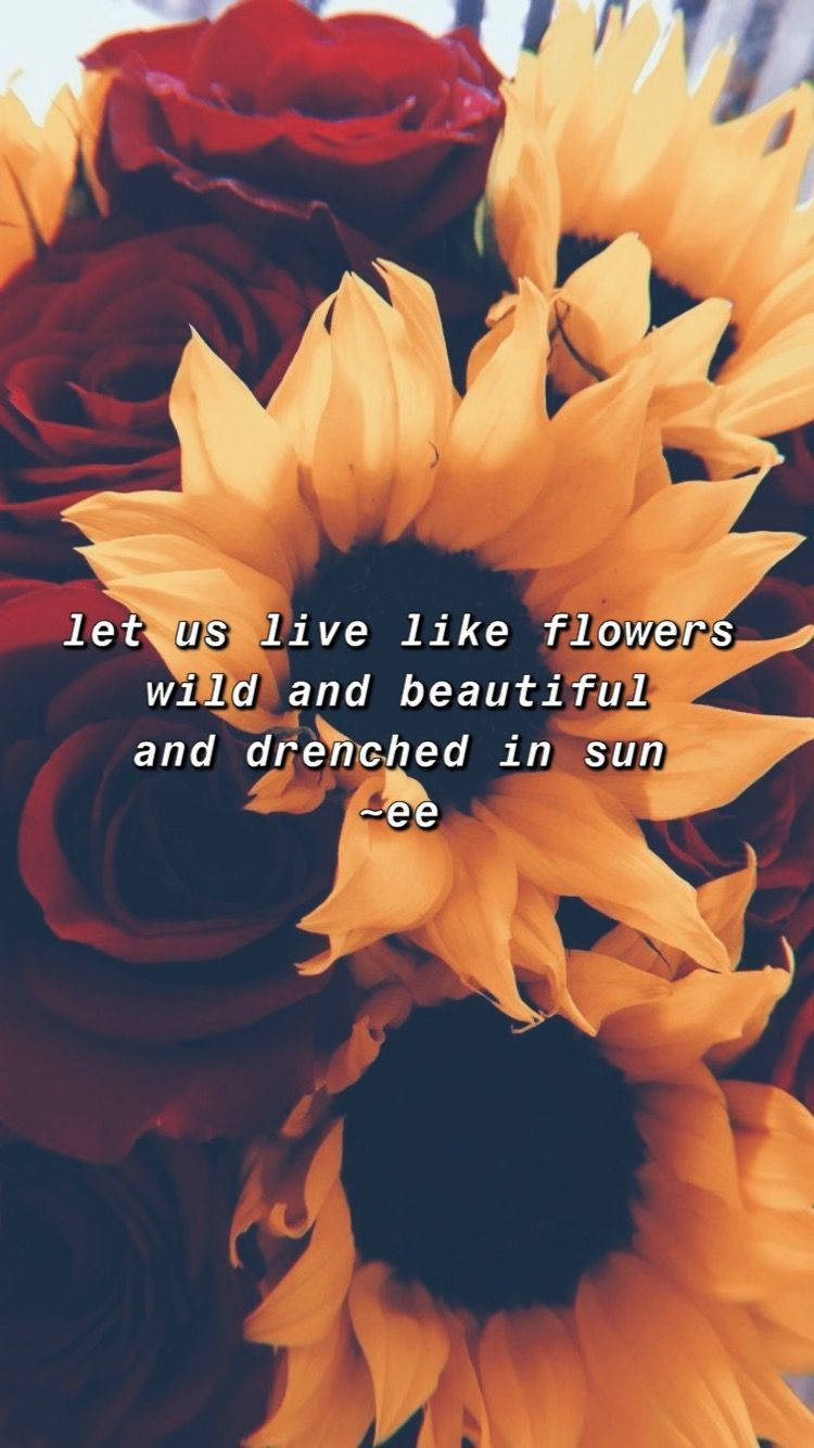 Sunflower And Roses Life Quotes Wallpaper