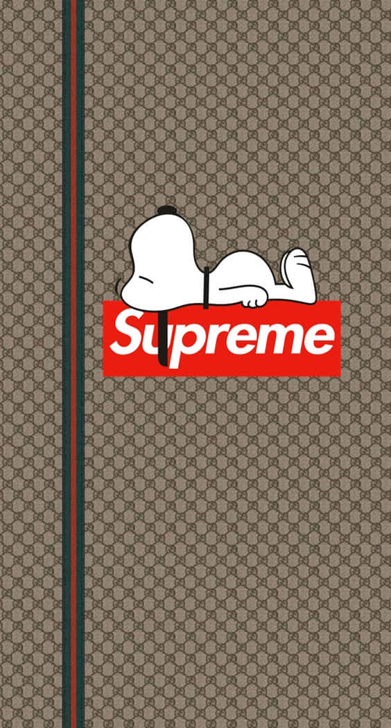 Supreme And Gucci Collaborations Wallpaper