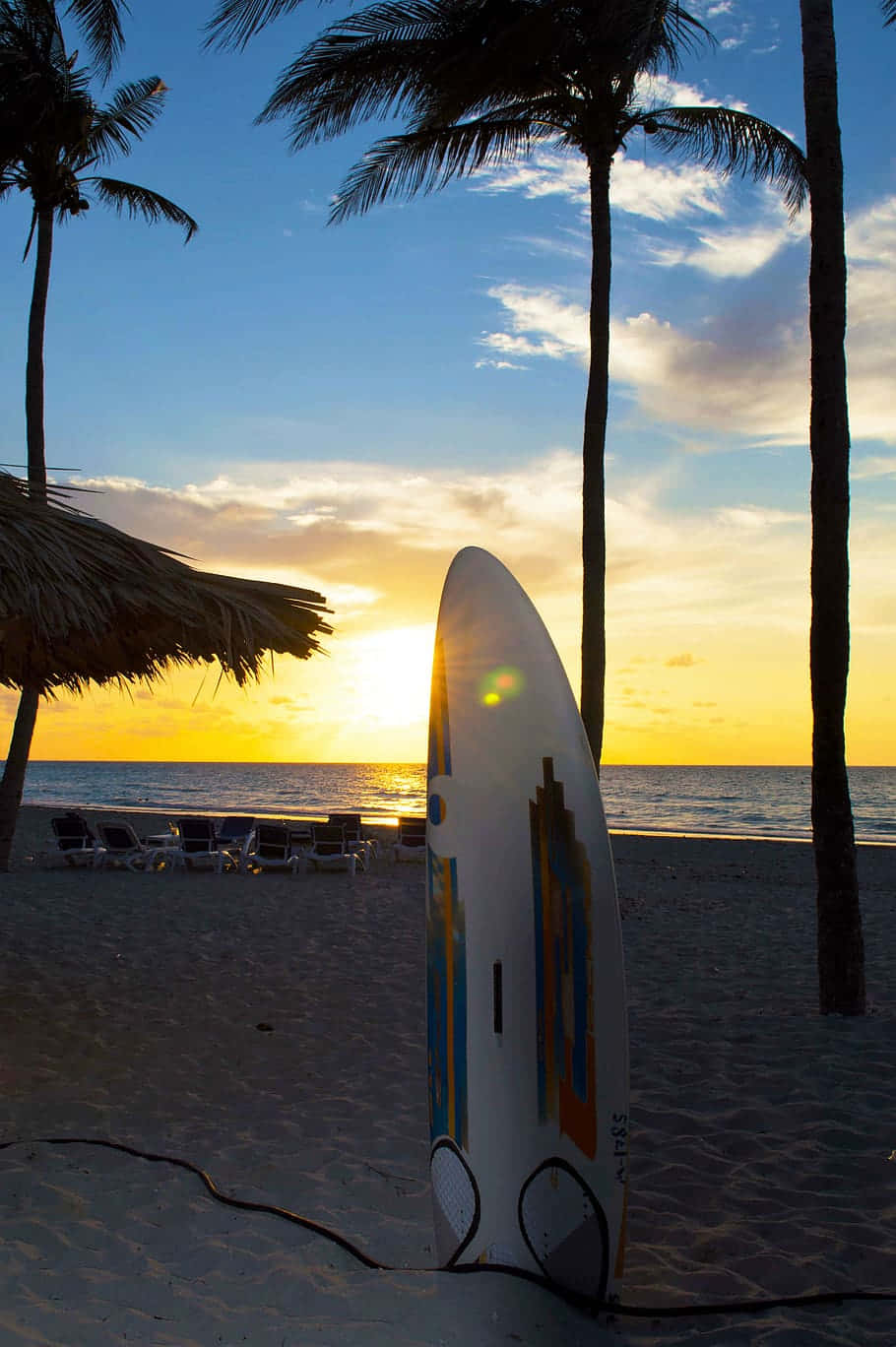 Surfboard Palm Trees Wallpaper