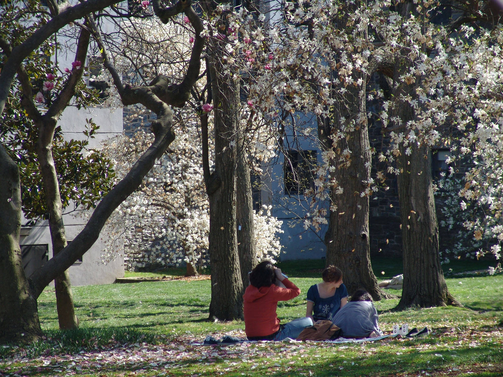 Swarthmore College Parque De La Quinta De Los Molinos Wallpaper