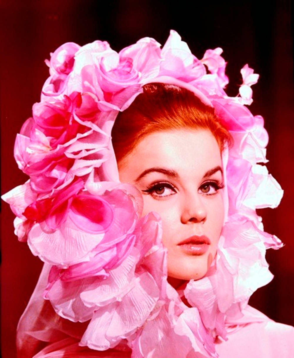 Swedish American Actress Ann Margret In Pink Ruffled Headdress Wallpaper