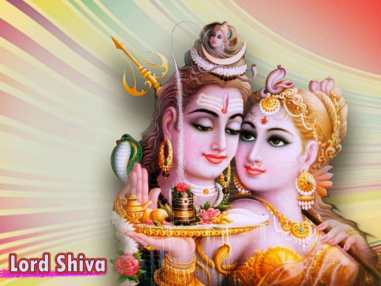 Sweet Husband And Wife Shiva Parvati Wallpaper