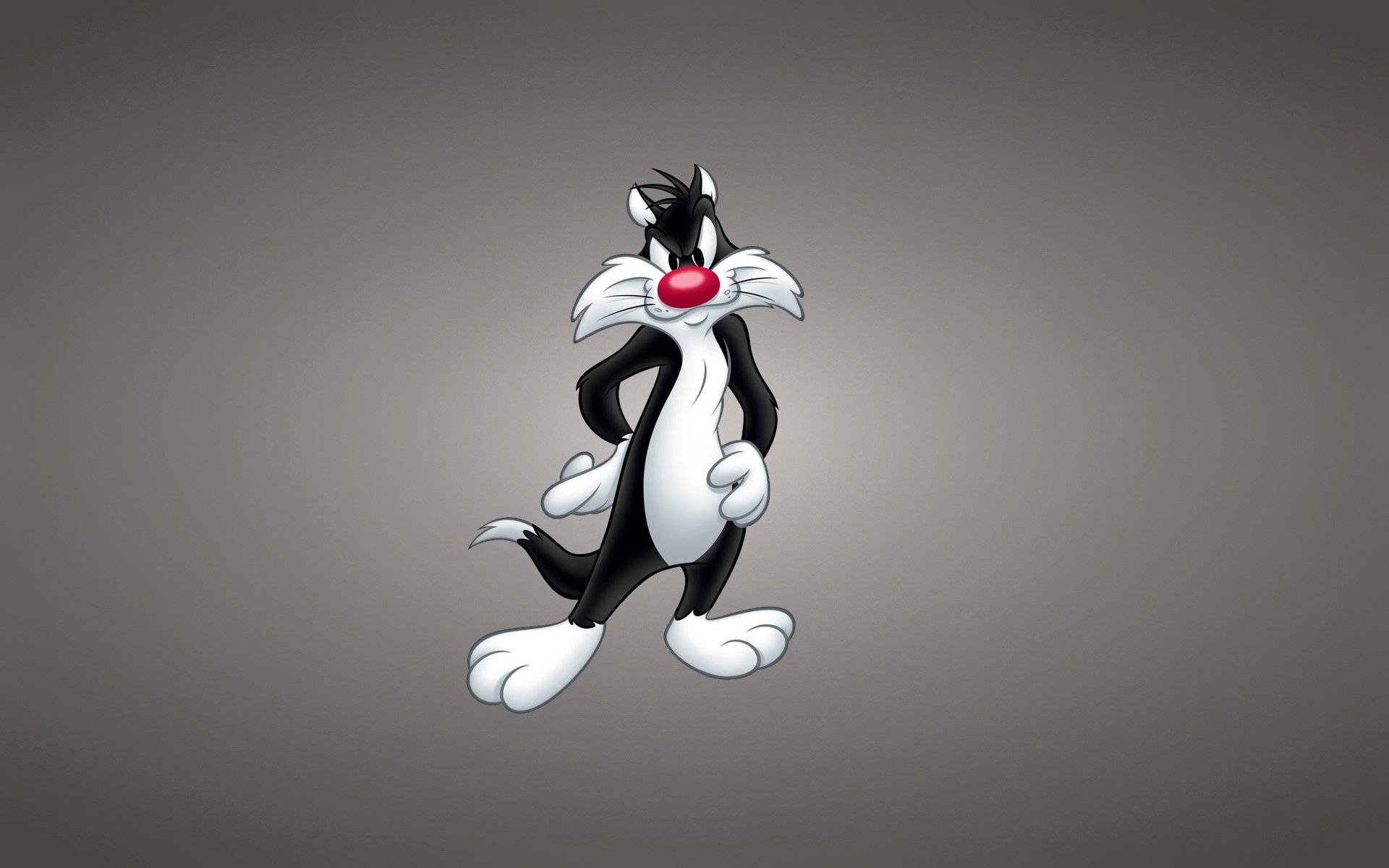 🔥 Free download Sylvester the cat wallpaper Wallpaper [1024x768] for your  Desktop, Mobile & Tablet | Explore 74+ Sylvester Cat Wallpaper, Sylvester  The Cat Wallpaper, Cat Backgrounds, Cat Wallpapers