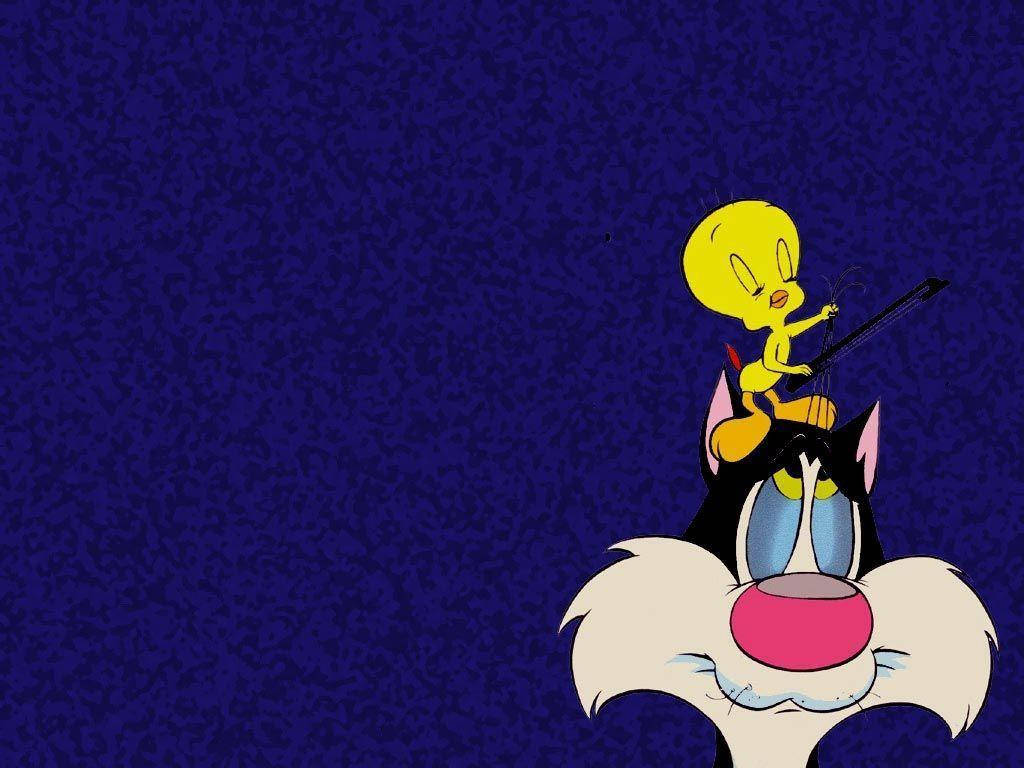 Sylvester Cat And Tweety Wallpaper