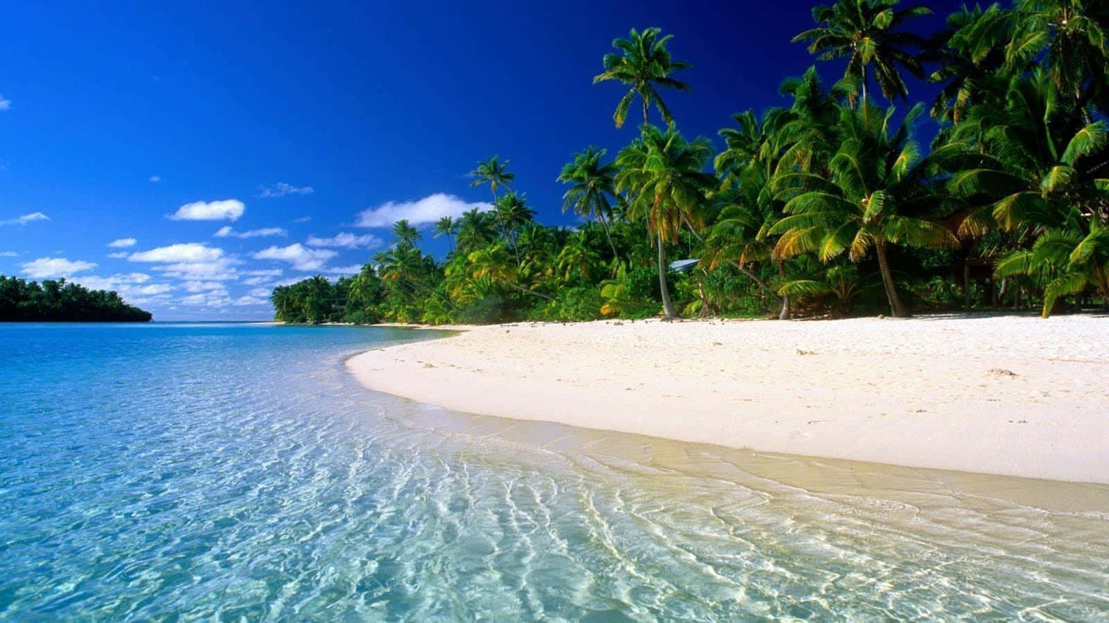 Take In The Breathtaking Views Of The Caribbean Sea Wallpaper