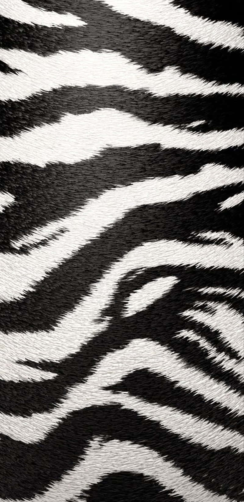 Take Your Style To The Next Level With Black And White Animal Print Wallpaper