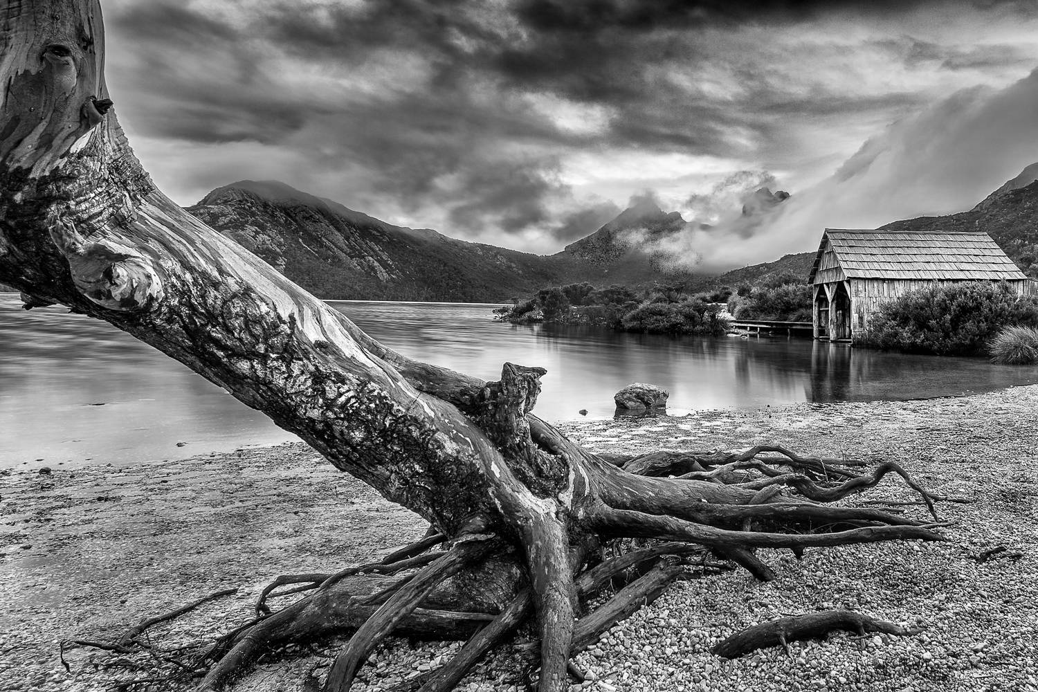 Tasmania Shed Lake Monochrome Wallpaper