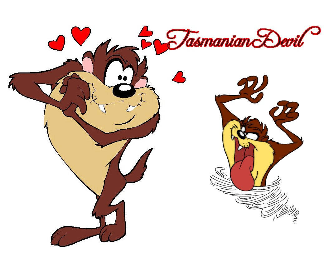 Tasmanian Devil Taz Disney Wallpaper