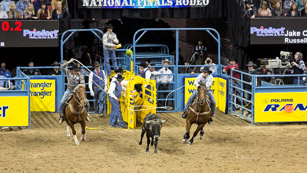 Team Roping Entrance Wallpaper