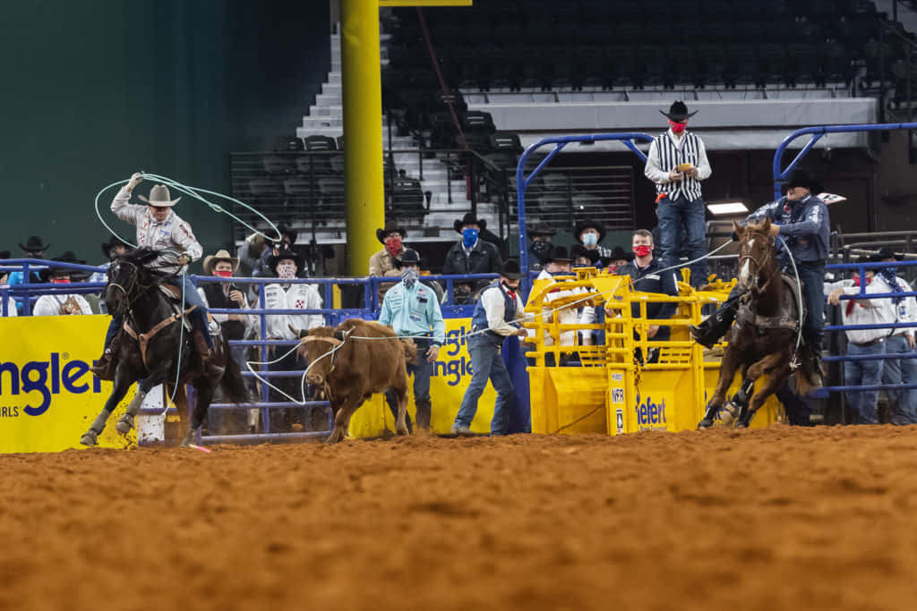 Team Roping On The Brown Soil Wallpaper