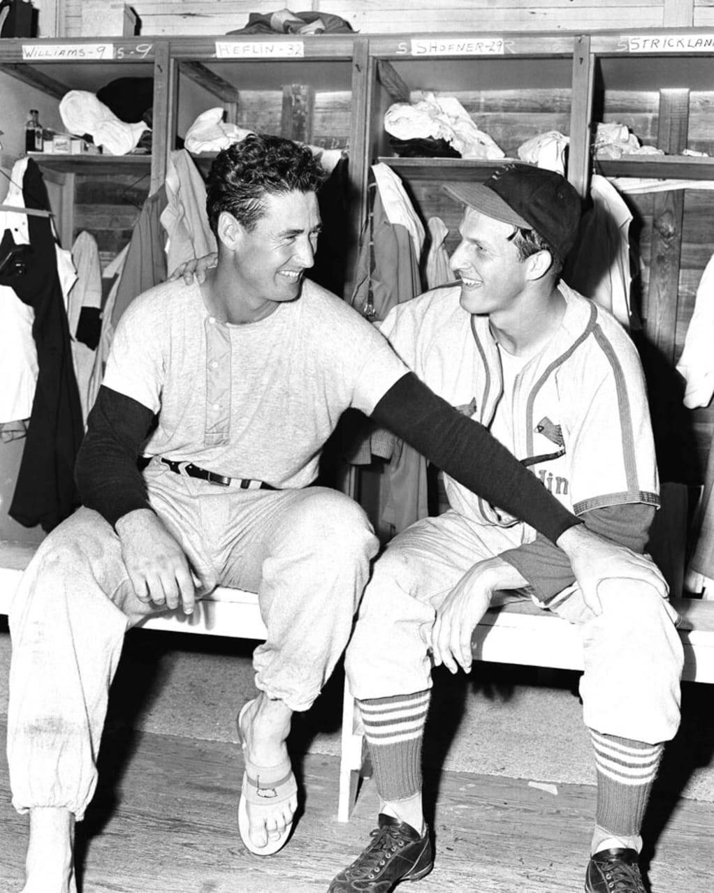 Ted Williams And Stan Musial Wallpaper