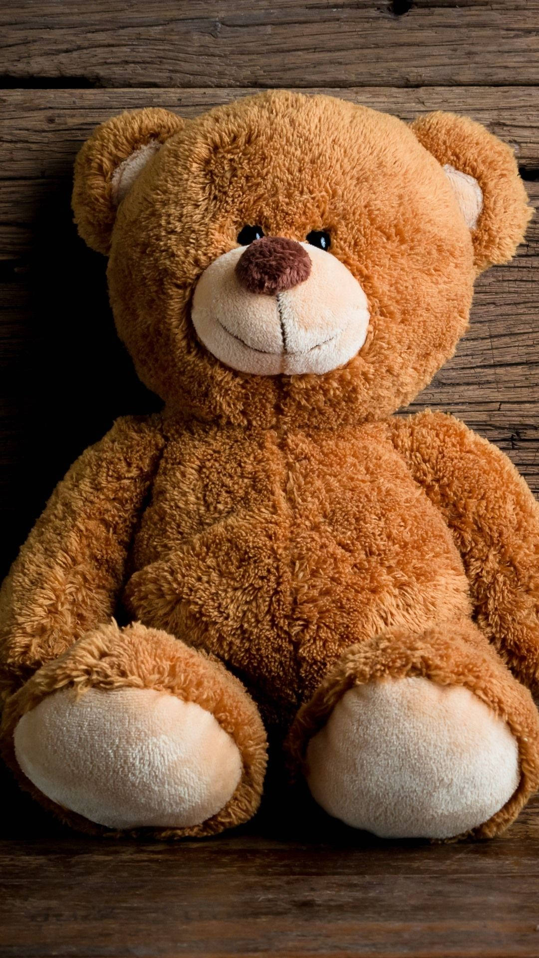 Teddy Bear Wallpaper Stock Photos, Images and Backgrounds for Free Download