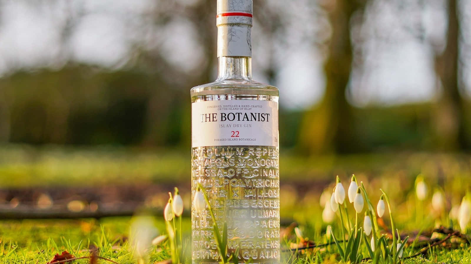 The Botanist Islay Dry Gin With Snowdrop Flowers Wallpaper