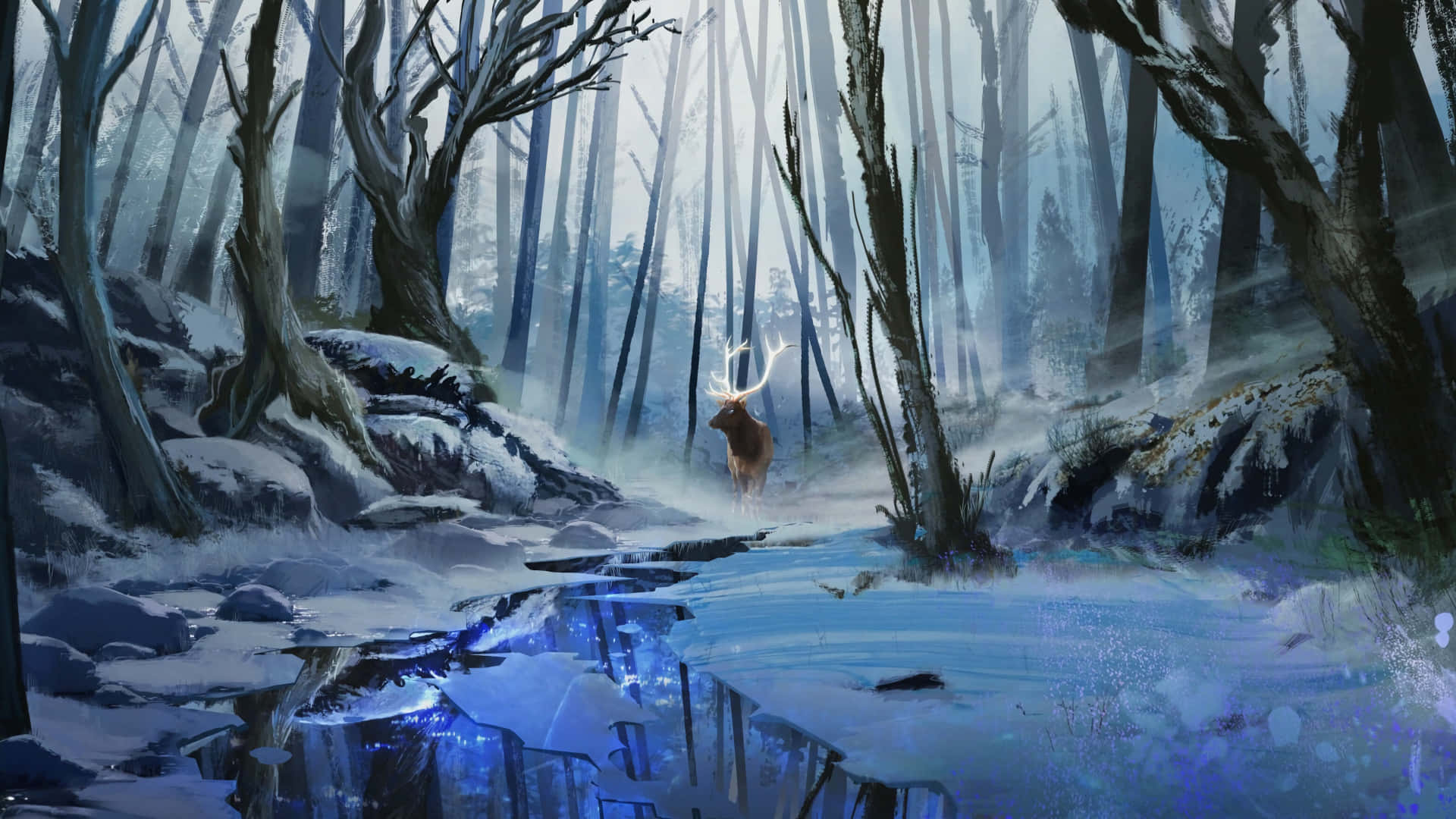 “the Elegant Beauty Of A Winter Forest” Wallpaper