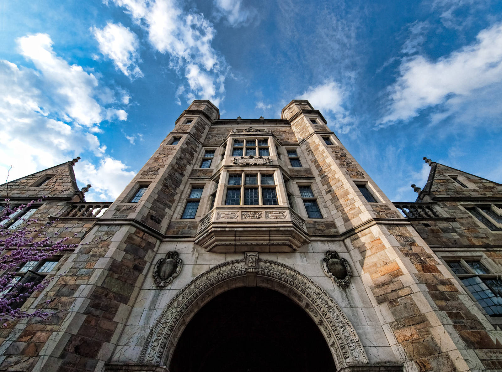 The Elegant William Cook Library At The University Of Michigan-ann Arbor Wallpaper