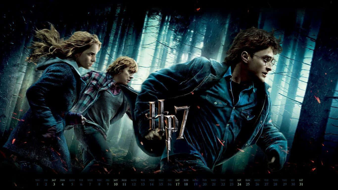 The Magical Cast Of Harry Potter Wallpaper