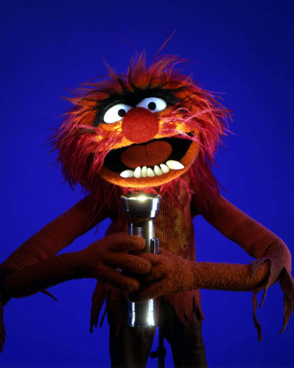 The Muppets - The Muppets - Muppets - Muppets - Muppets - Wallpaper
