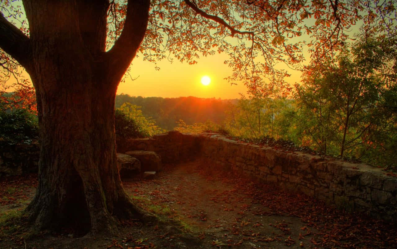 The Perfect Ending To A Memorable Summer Wallpaper