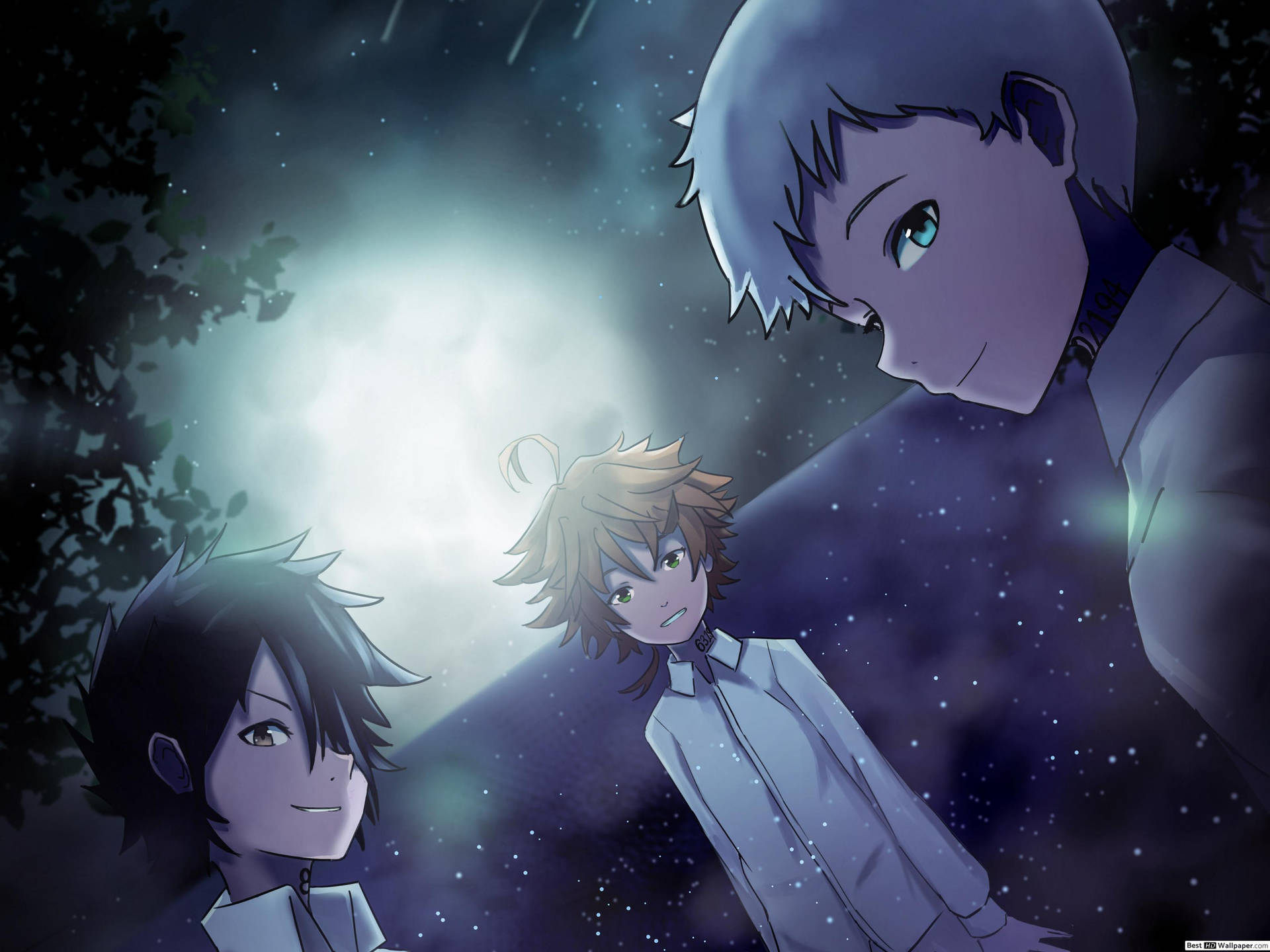 100 Free The Promised Neverland HD Wallpapers & Backgrounds -  MrWallpaper.com