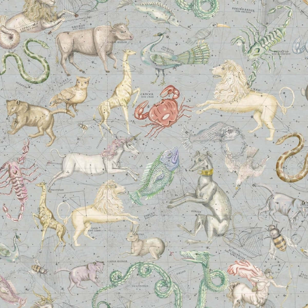 The Stars And Planets Align In The Always Beautiful Aesthetic Astrology Wallpaper