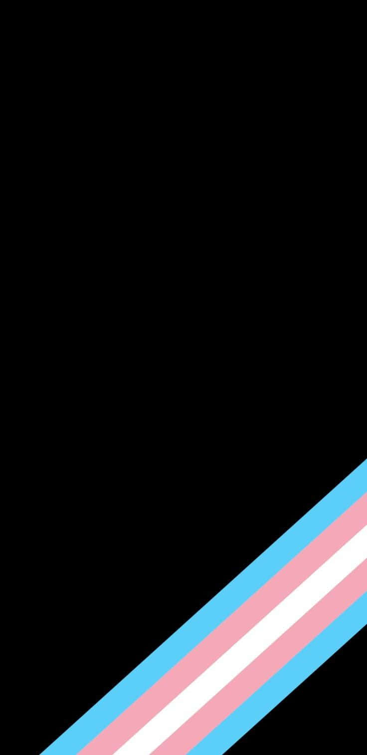 The Trans Flag - Representing A Movement Of Change And Self-acceptance. Wallpaper