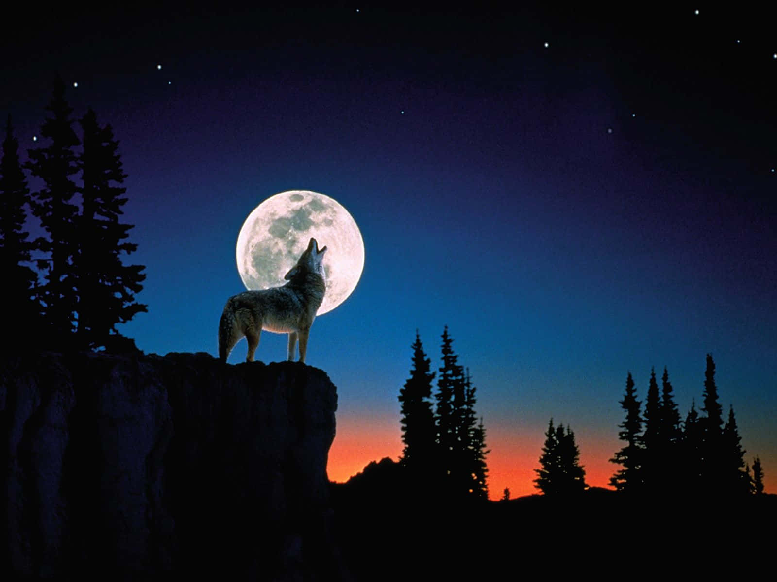 The Wolf Moon Rises, Illuminating The Night Sky Wallpaper