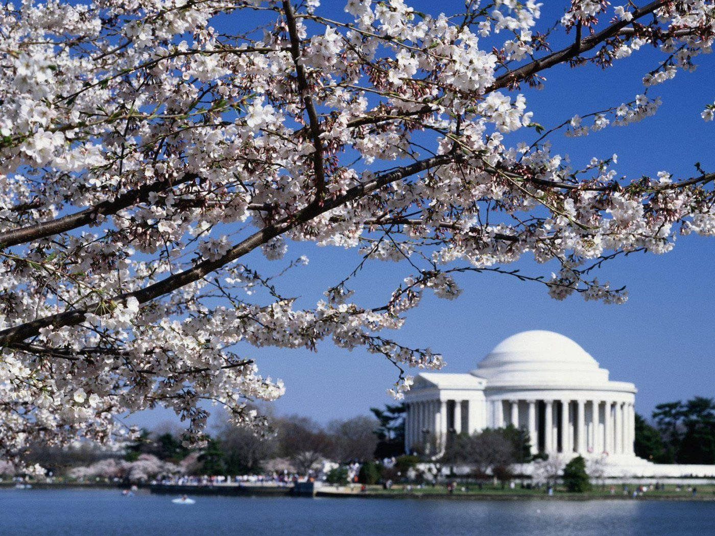 Thomas Jefferson Memorial Washington, Dc Wallpaper