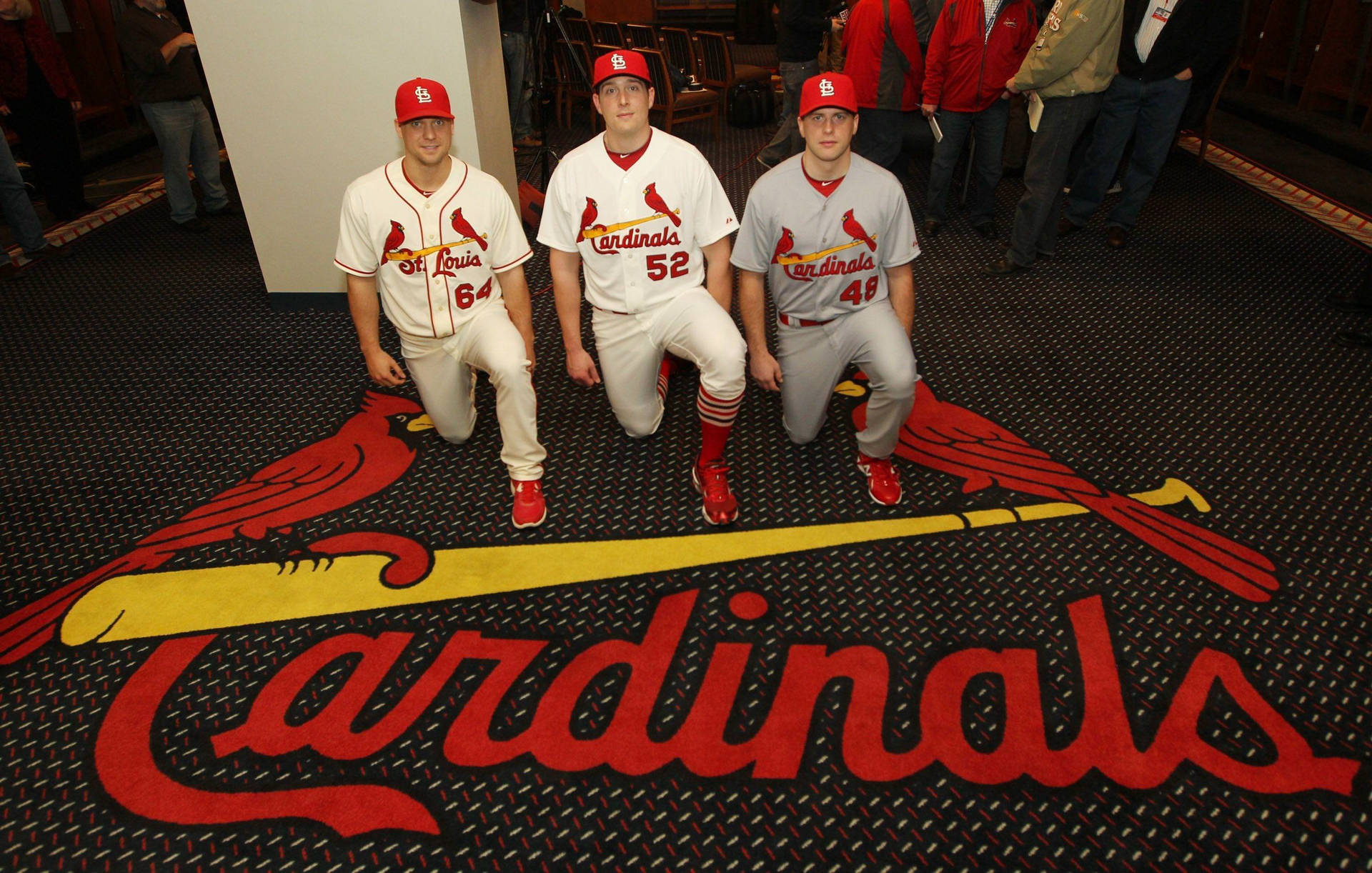 HD st louis cardinals wallpapers | Peakpx