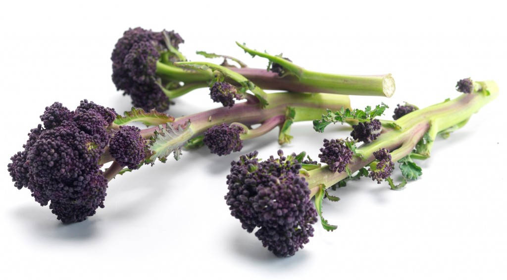 Three Purple Broccoli Flowers Wallpaper
