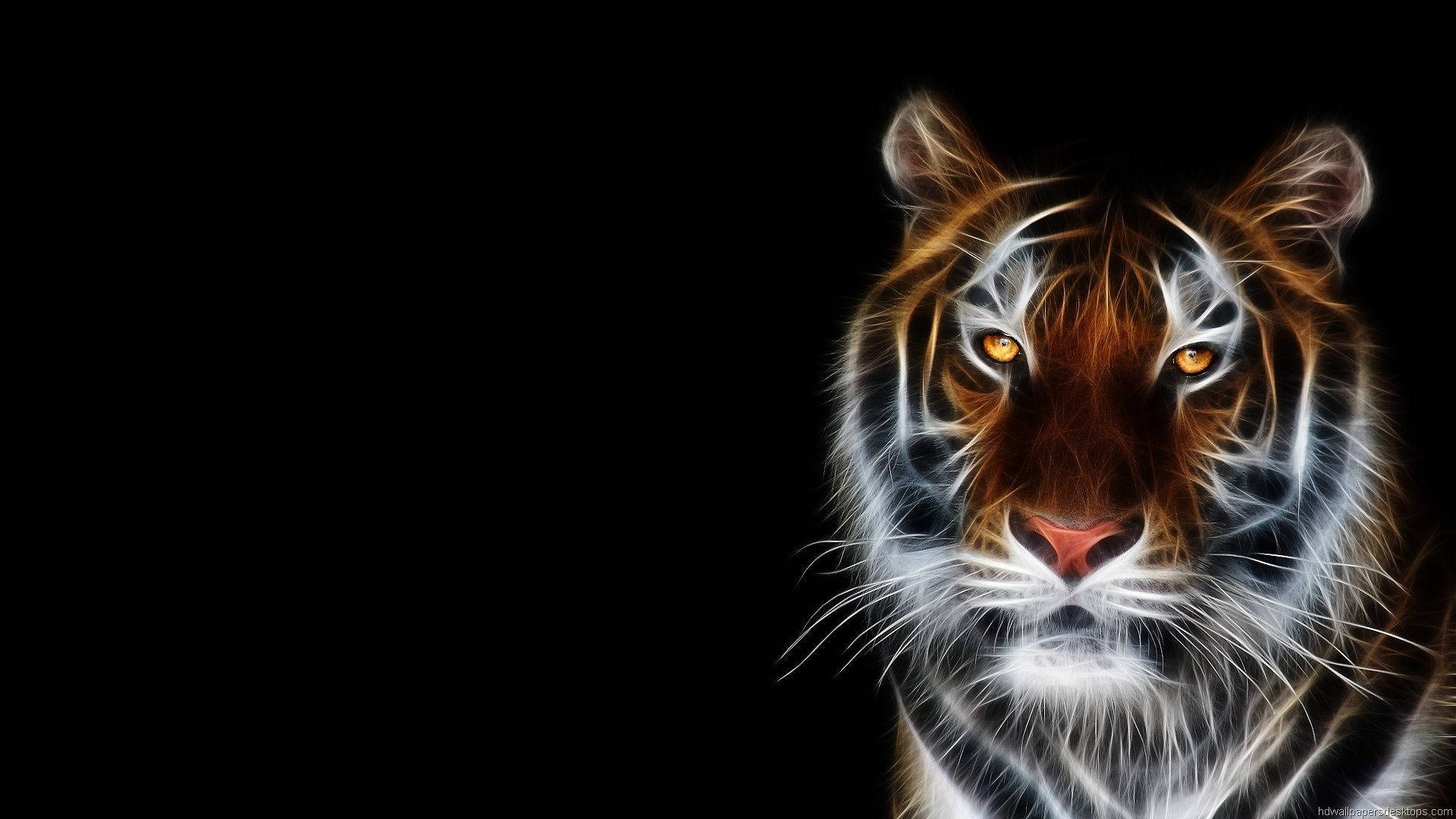 Tiger Animal Wallpaper