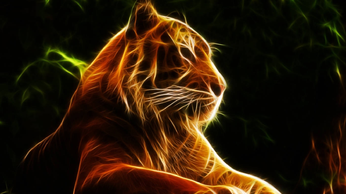 Tiger Chromebook Background Wallpaper
