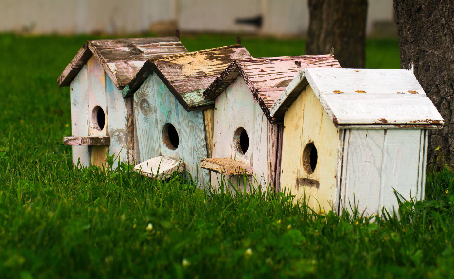 Tiny Bird Houses Wallpaper
