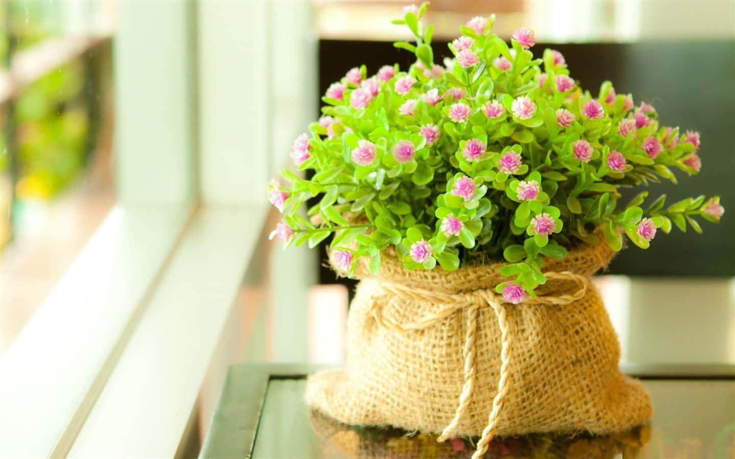 Tiny Flowers Beside Window Cute Floral Wallpaper