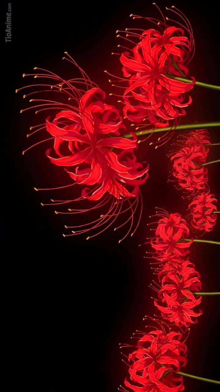 Tokyo Ghoul Flower In Vertical Wallpaper