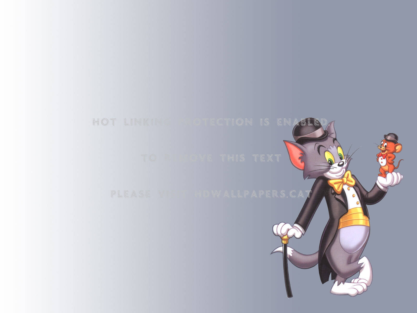 Tom And Jerry Cartoon Poster Wallpaper