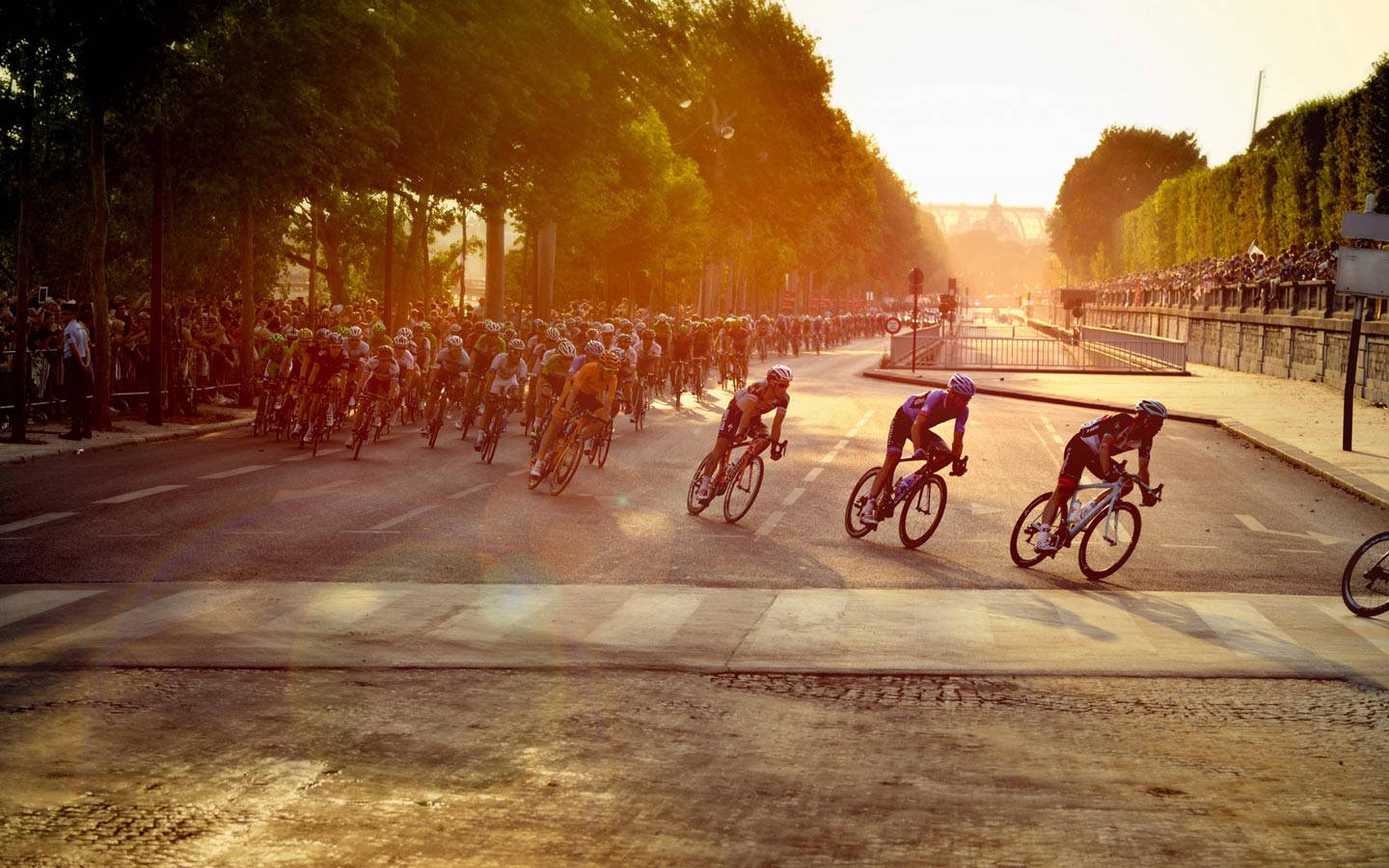 Tour De France Bikers On City Road Wallpaper