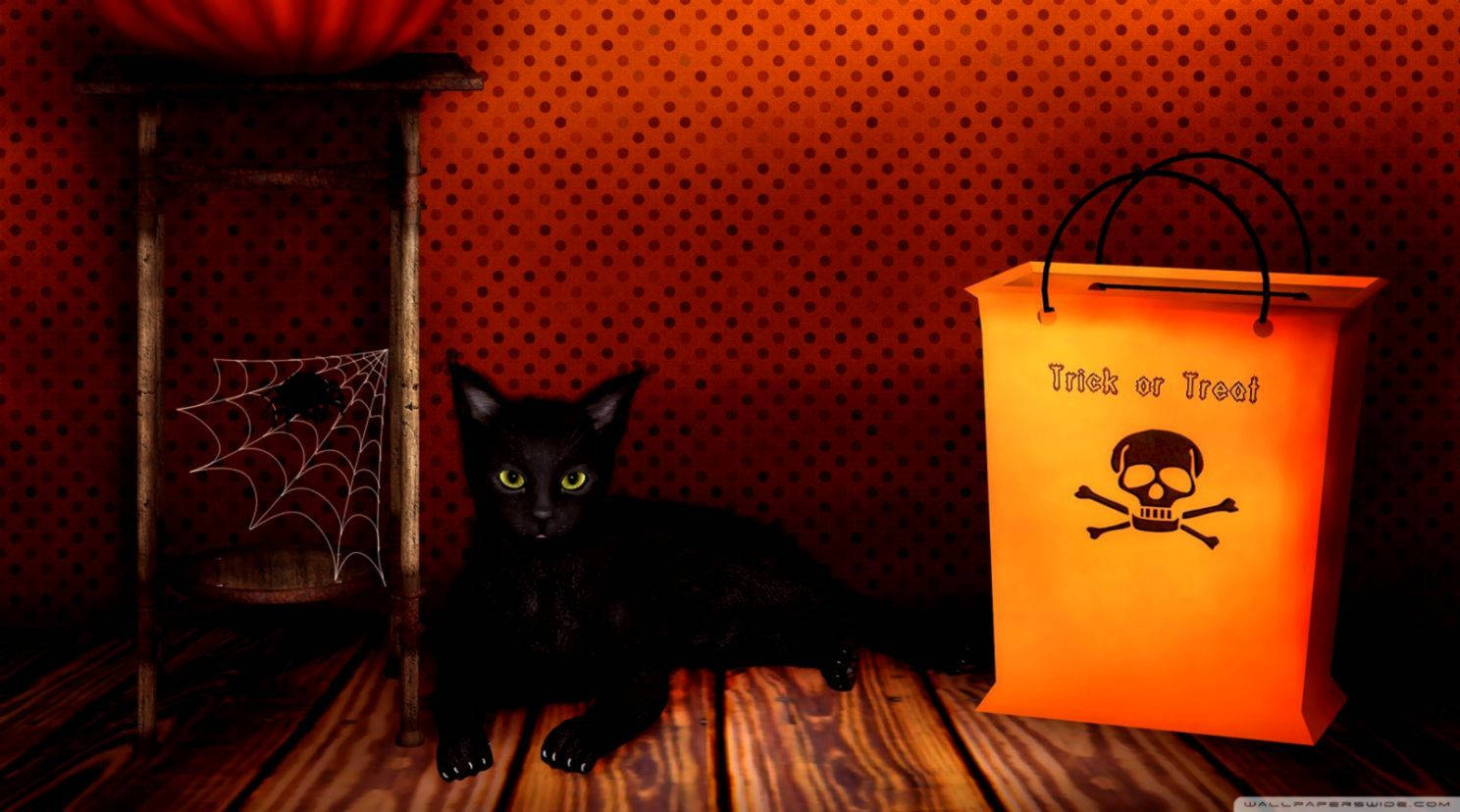 Trick Or Treat Bag Cat Wallpaper