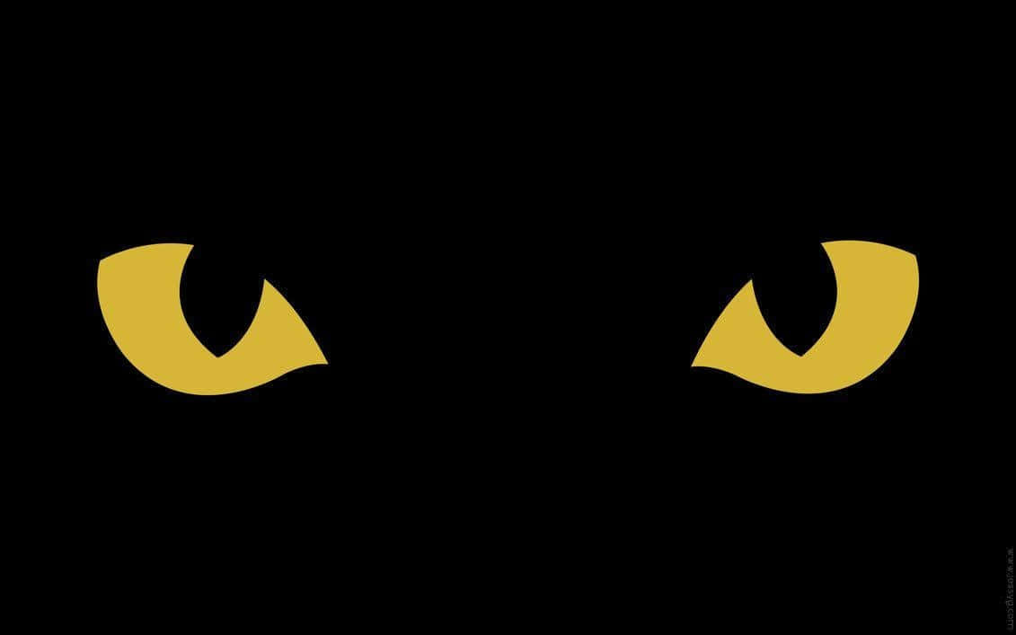 Trick Or Treat? This Black Cat Is Ready For Halloween! Wallpaper
