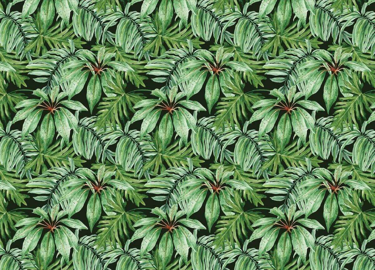 Tropical Banana Leaf Wallpaper Wallpaper