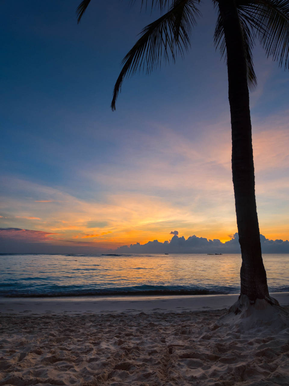 Tropical Beach Aesthetic Sunset Wallpaper
