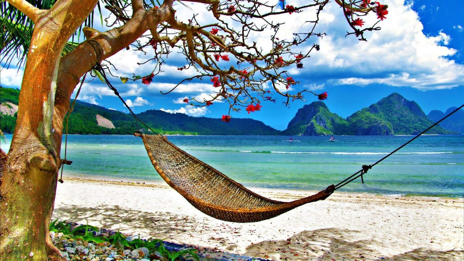Tropical_ Beach_ Hammock_ Relaxation.jpg Wallpaper