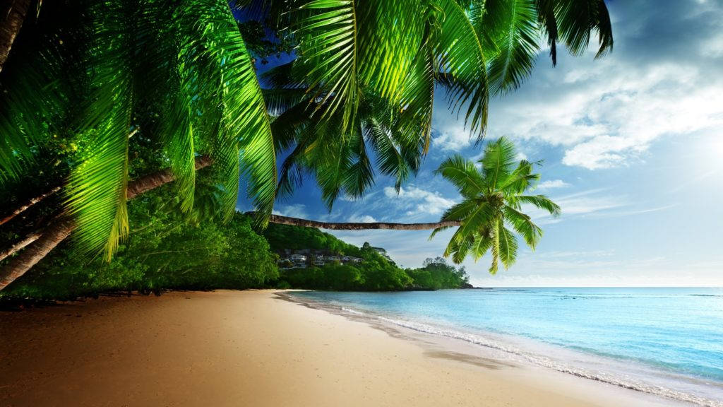 Tropical Beach Paradise 4k Desktop Wallpaper